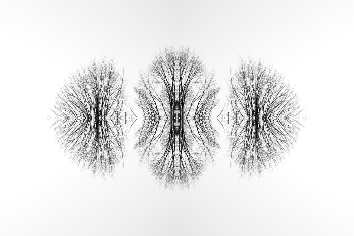 Images